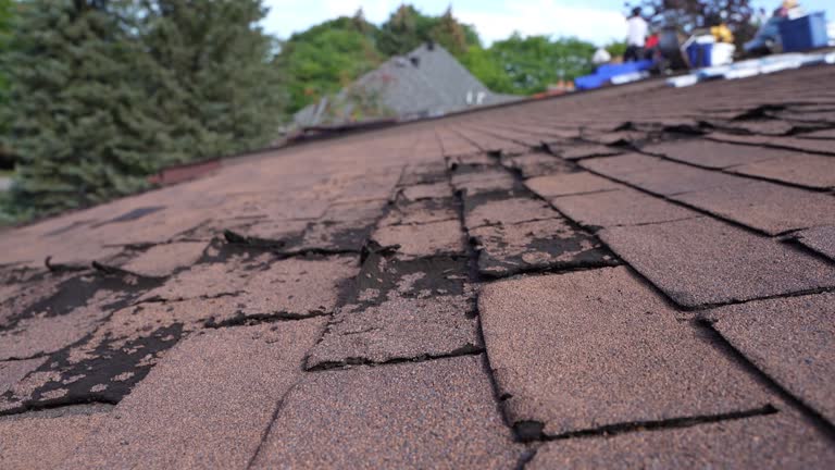 Best Asphalt Shingle Roofing  in University Gardens, NY