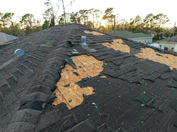 Best Metal Roofing Installation  in University Gardens, NY